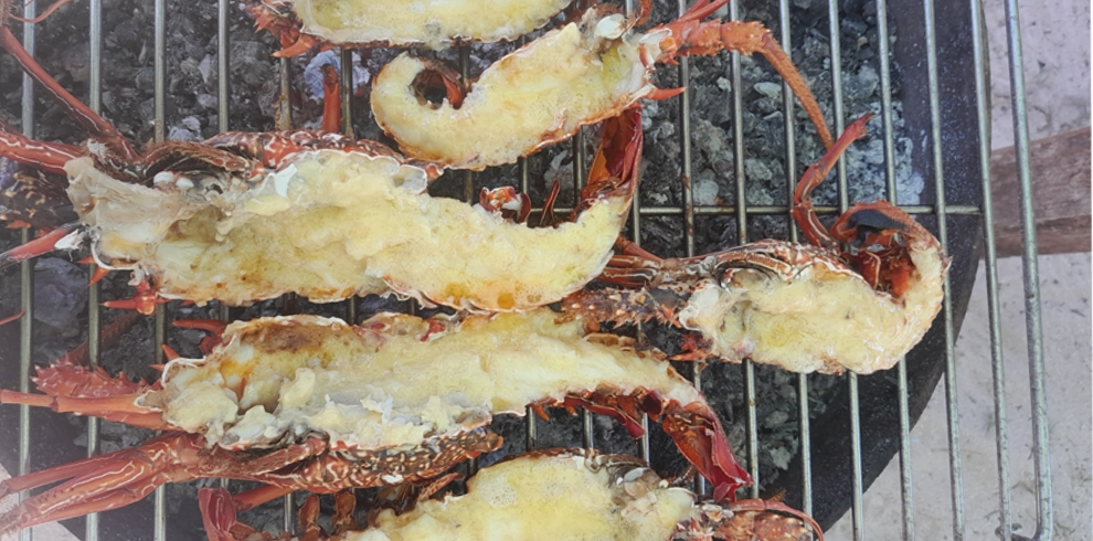 lobster